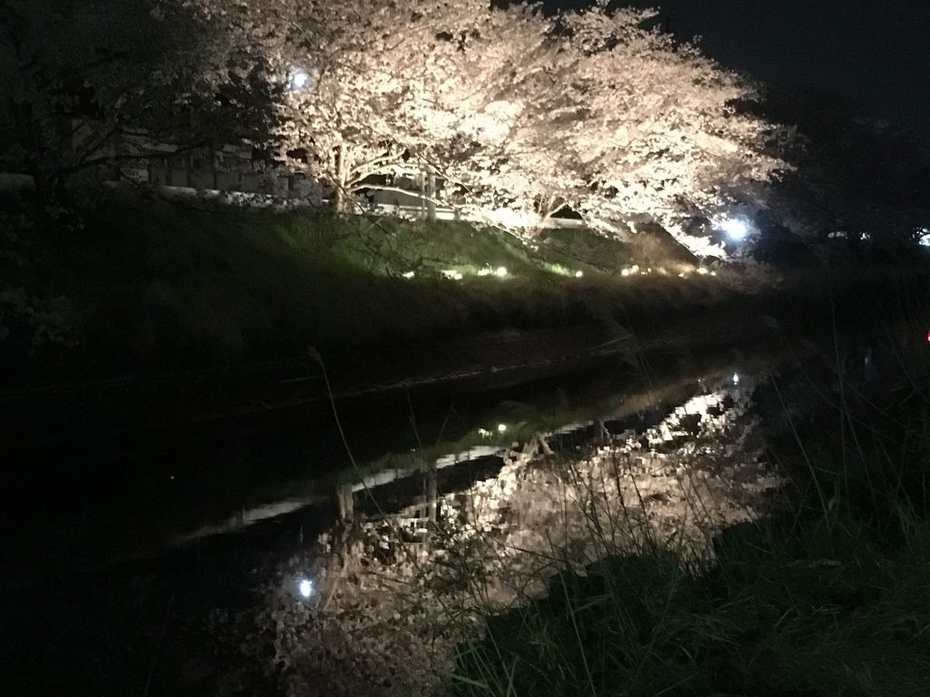 2018-03-29 20.51.34